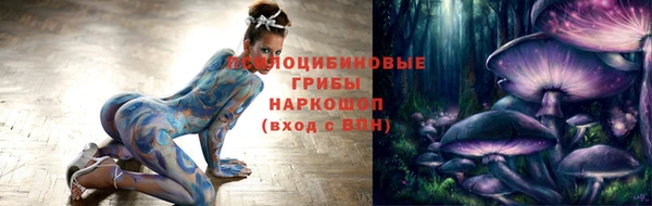 спиды Новодвинск