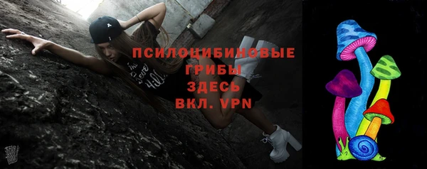 индика Алексеевка