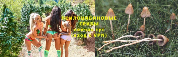спайс Новокубанск