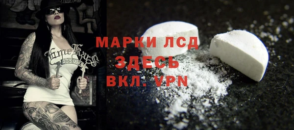 тгк Новозыбков
