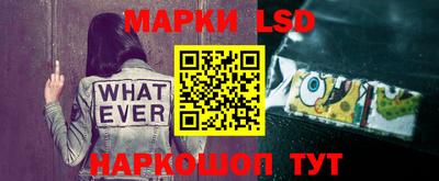 стаф Аргун