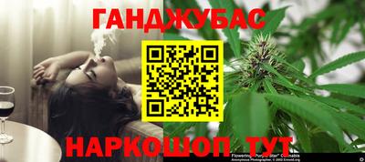 стаф Аргун