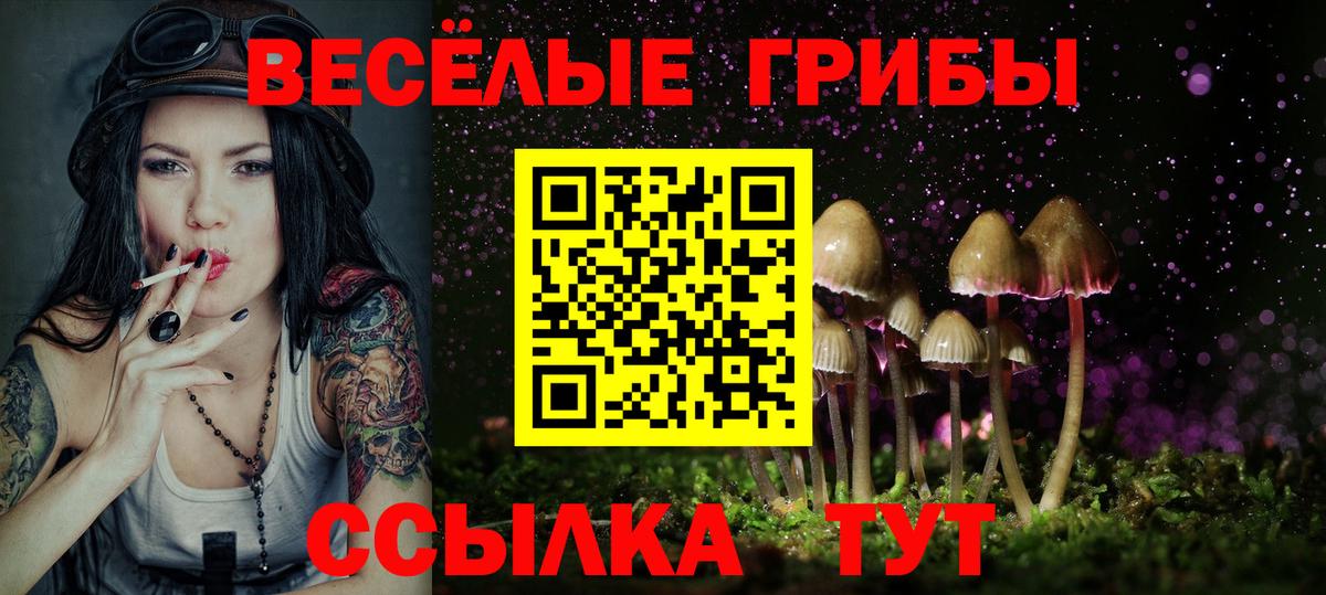 Псилоцибиновые грибы ЛСД Бердск